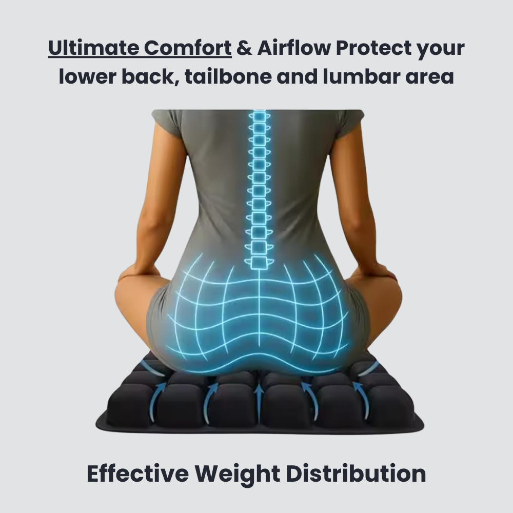 Comfo + Travel Cushion