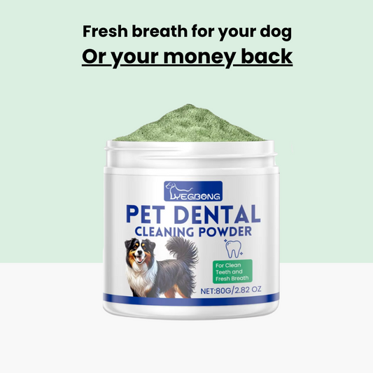 BarkShine™ – Natural Teeth Cleaning Powder